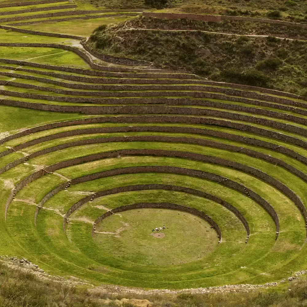 Moray